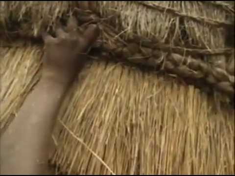 Dawni Wojownicy - Zulusi