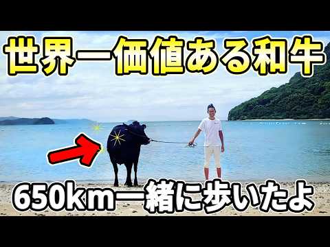 本当に和牛を愛しているので、和牛の価値を上げる為に100日一緒に過ごしてきました。
