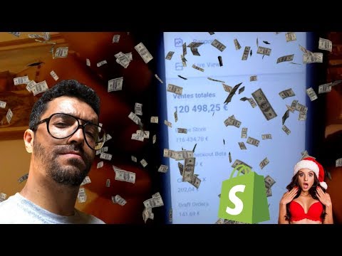 Du RSA à 120 000€ en Dropshipping
