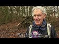 De tornado-route wandelen op de Veluwe: gigantisch natuurgeweld