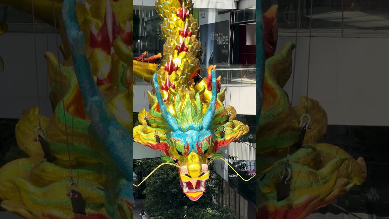 Chinese Royal Celebration Goes Viral