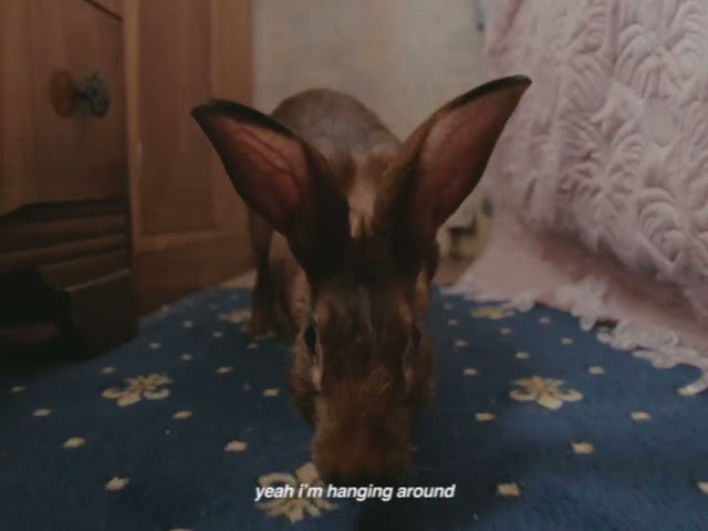  Hanging Out To Dry - Florence Road