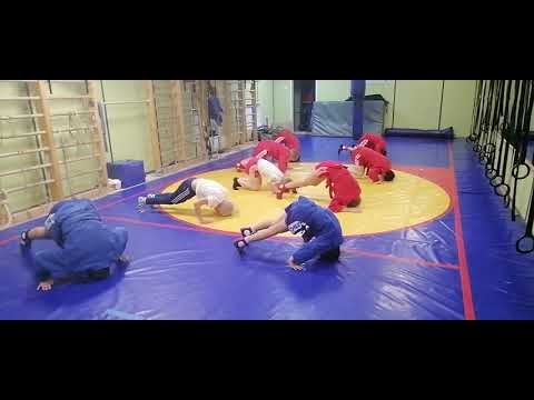 борцовские мосты, тренировка