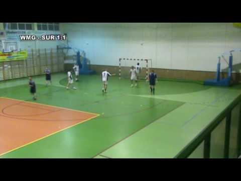 14.02.2010r. Swedwood WMG - SUR 1:6