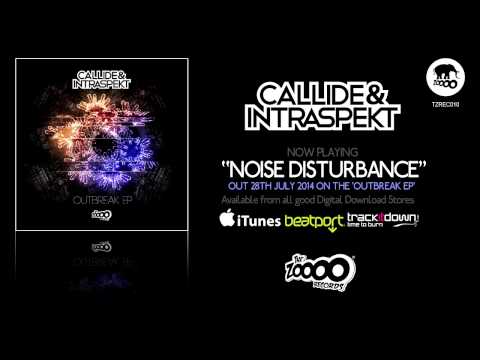 Callide & Intraspekt - Noise Disturbance