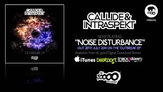 Callide & Intraspekt - Noise Disturbance
