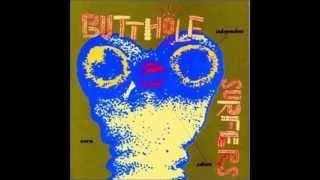 Butthole Surfers - Who Was in My Room Last Night?