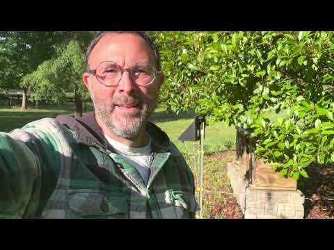Solar electric deer fence that ACTUALLY WORKS!