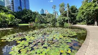 🇦🇺Travelogue - Brisbane City Botanic Garden #australia #brisbane #garden #park