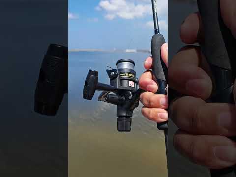 Shimano Reel Casting #shorts #fishing #casting #fishingreel  #ultralightfishing #youtubeshorts