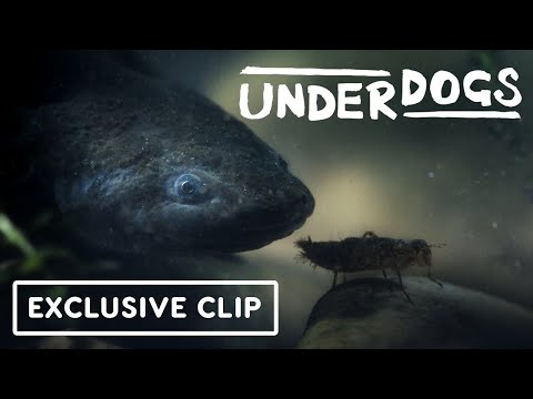 Underdogs - Exclusive Clip (2025) Ryan Reynolds | IGN Live 2025