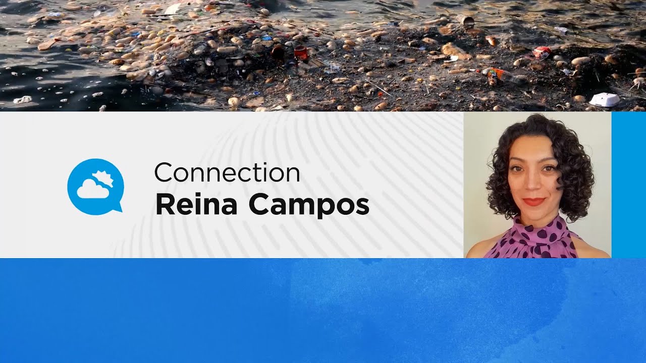 youtube video id=ZJmmurs-pF8