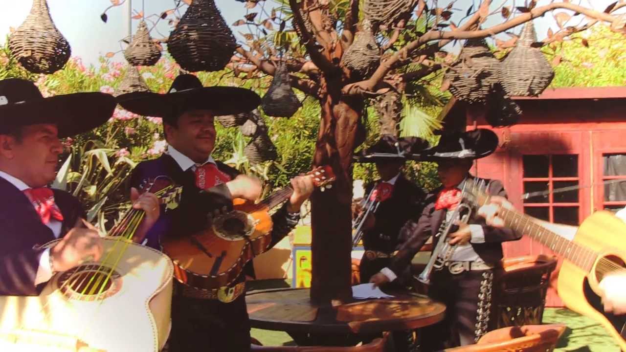 Colaboración con Famosos #12