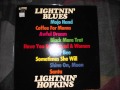 Lightnin Hopkins- Glory Bee (Vinyl LP)