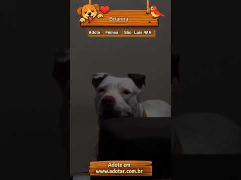 Vídeo de Brianna 