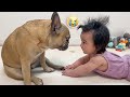 12 Months Of Friendship In 12 Minutes | My Dog Loves Our Baby
