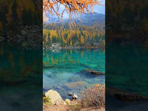 📍 Lago di Saoseo, Switzerland 🇨🇭 Follow for daily Swiss Content 🇨🇭