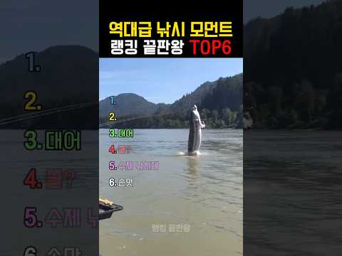 역대급 낚시 모먼트 랭킹 끝판왕