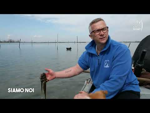 Siamo Noi (Tv2000), 28 marzo 2023 - Siccità nel Nord Italia: migliaia di vongole muoiono nel Po