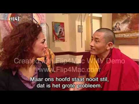 RTL Netherlands: Lu Jong