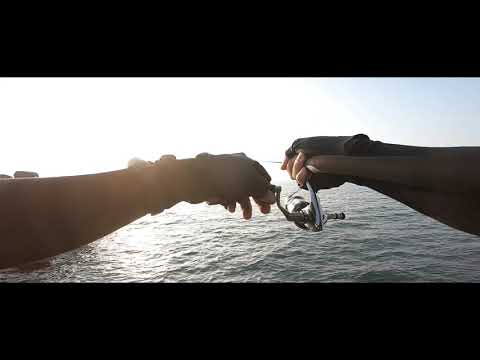 2019.12.01 鐵板小瓜