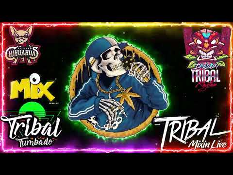(Mega Mix) Tribal Tumbado Para Bailar Del 2022 - Lo Mas Chingon y Mejor Del Tribal-Dj Otto Super Mix