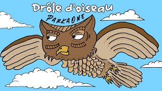 Drôle d'oiseau