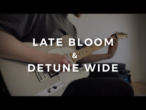 Late Bloom & Detune WIDE - Strymon BigSky and Mobious Preset Example