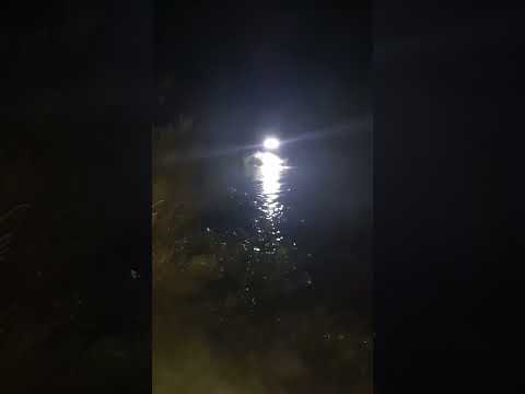 Paso Doña Rosa (rocha) año 2020