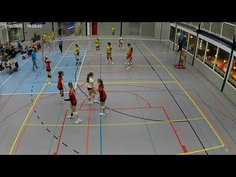 taurus d1 - Meerkerk  11-10-25  video 6