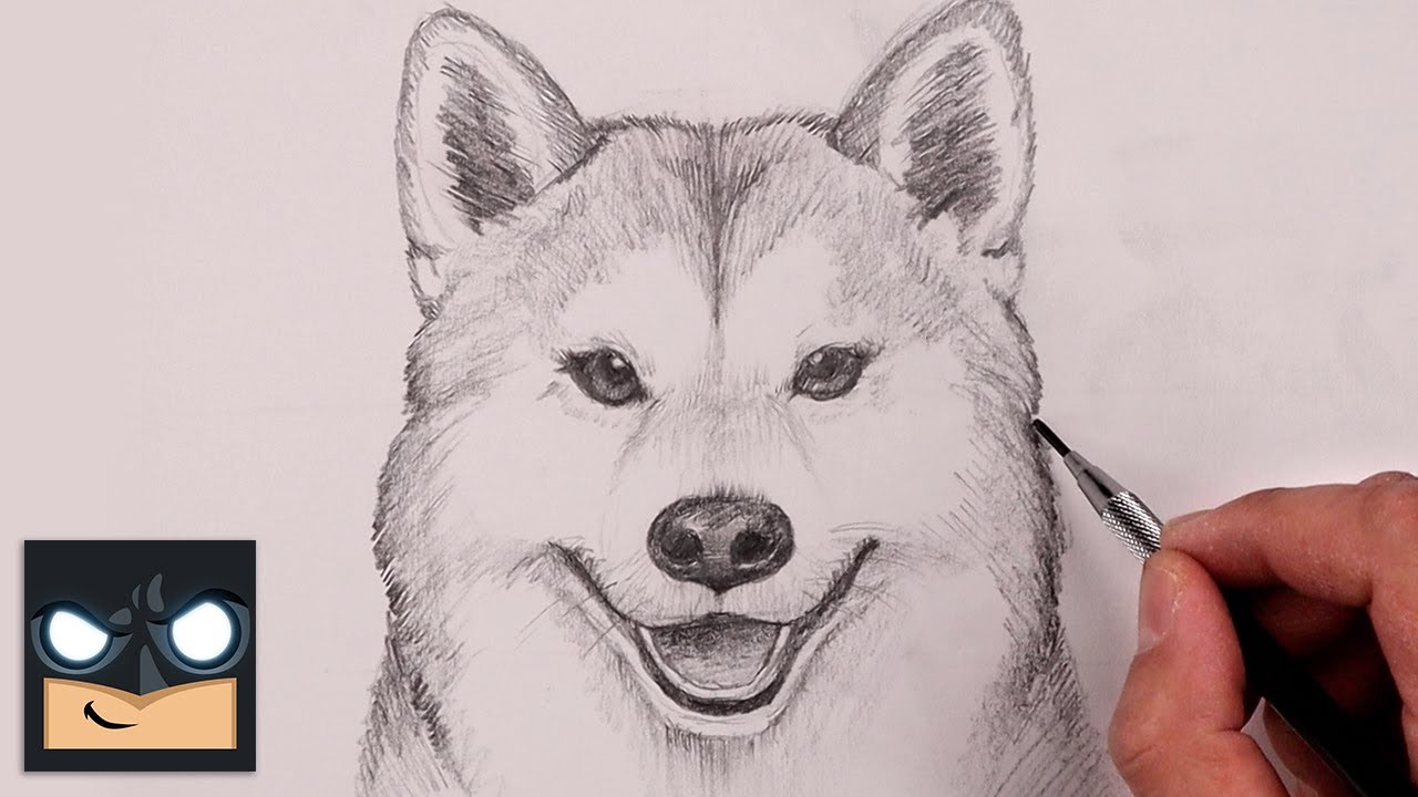 How To Draw a DOG | Beginner Pencil Sketch Tutorial (Step-by-Step)