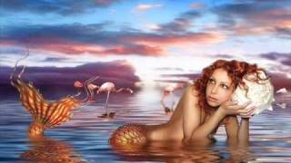 Honey B - Surrender