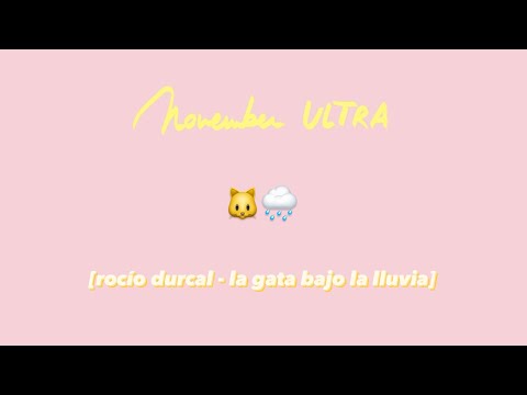 La Gata Bajo La Lluvia - November Ultra
