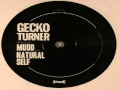 Gecko Turner- When I Woke Up (Natural Self Remix).wmv