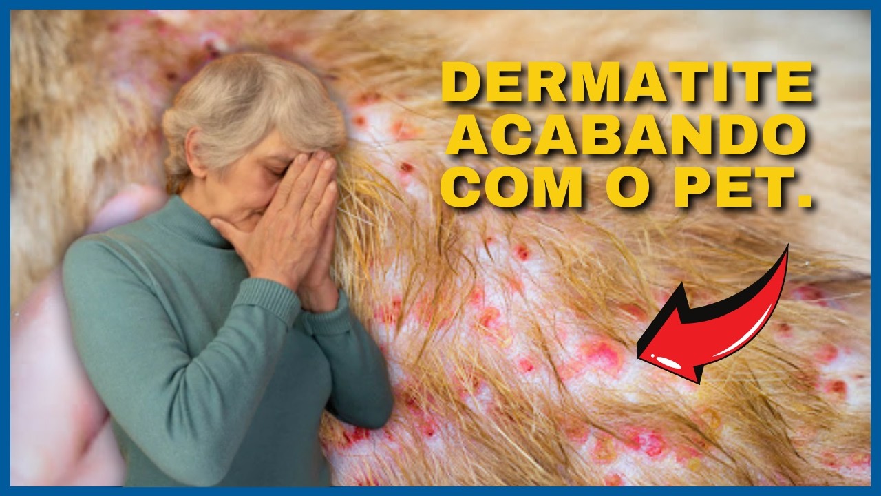 O SEGREDO OCULTO DA DERMATITE! Como Curar Dermatite em Cachorro? Como Curar Dermatite em Gato?