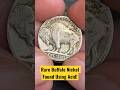Rare Buffalo Nickel Found Using Acid! #youtubeshorts #buffalo #acid #nickel #coin