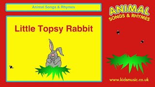 Kidzone - Little Topsy Rabbit