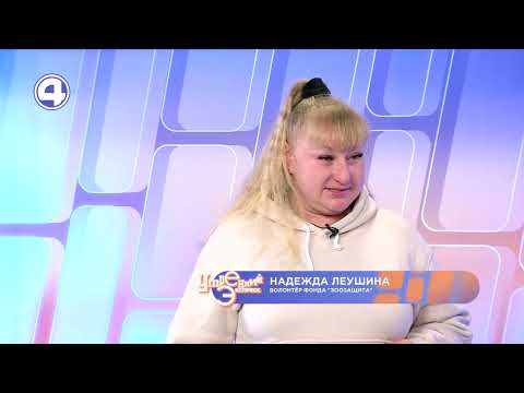 Как защитить собак от жестокости? Зоозащита