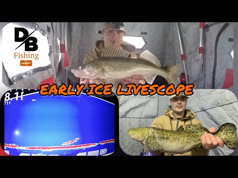 EARLY ICE with GARMIN LIVESCOPE | Round Lake Fishing!