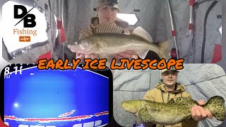 EARLY ICE with GARMIN LIVESCOPE | Round Lake Fishing!