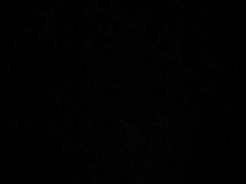 Dulkes - dienos dziaugsmas