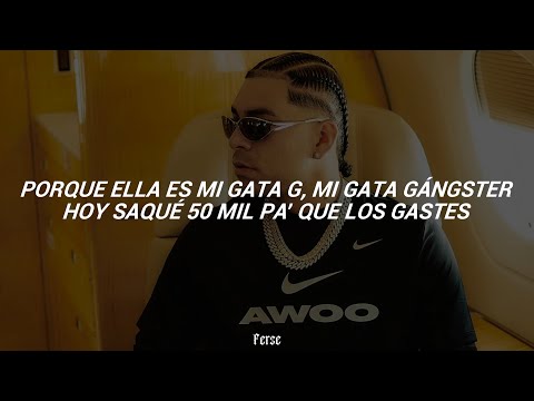 Ryan Castro - GATA G (Letra/Lyrics)