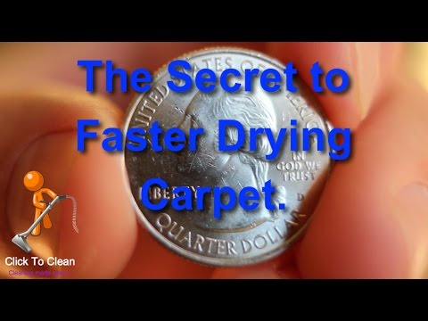 YouTube video about: How to dry carpet fast after cleaning?