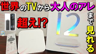 【これヤバくない？】UBOX12という家、車、スマホで完全無料で「世界のTVからA〇」まで見れてしまうエンタメ機器を使ってみた！
