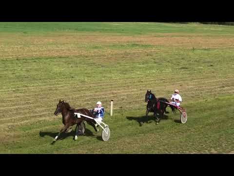 SELEVAC Trka do 150b 02.08.2018 Luksemburg A.T.-Gojko Galić