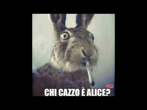 WHISKY & MARIJUANA - Jack Makkia VS Maks Bunny ft Dj Shawa