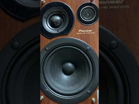 I'm Just Wondering Who : Dixie Daisies