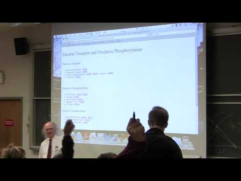 #30 Biochemistry Lecture (Electron Transport and Respiration) from Kevin Ahern's BB 350