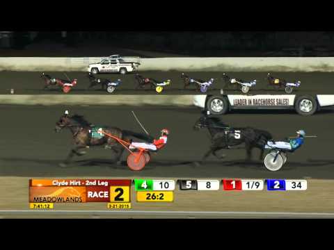 Meadowlands March 21, 2015 - Race 2 - Rockeyed Optimist
