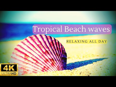 4K |Splashing Waves All Day on Tropical Beach waves 1Hour sounds for relaxing summer, peace, sleep